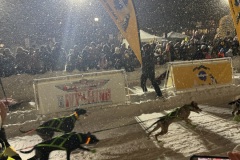jh_dog_racing