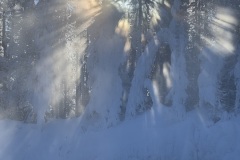 yellowstone