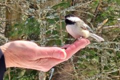 FB_IMG_1776810312411